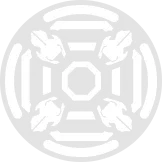 Magna Shield